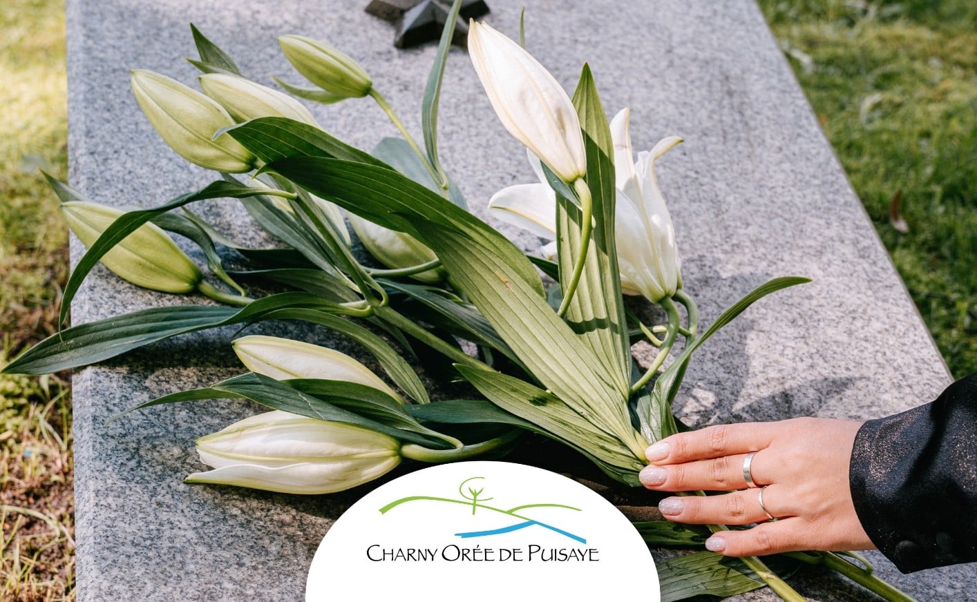 Ajouter un sous-titre - 6