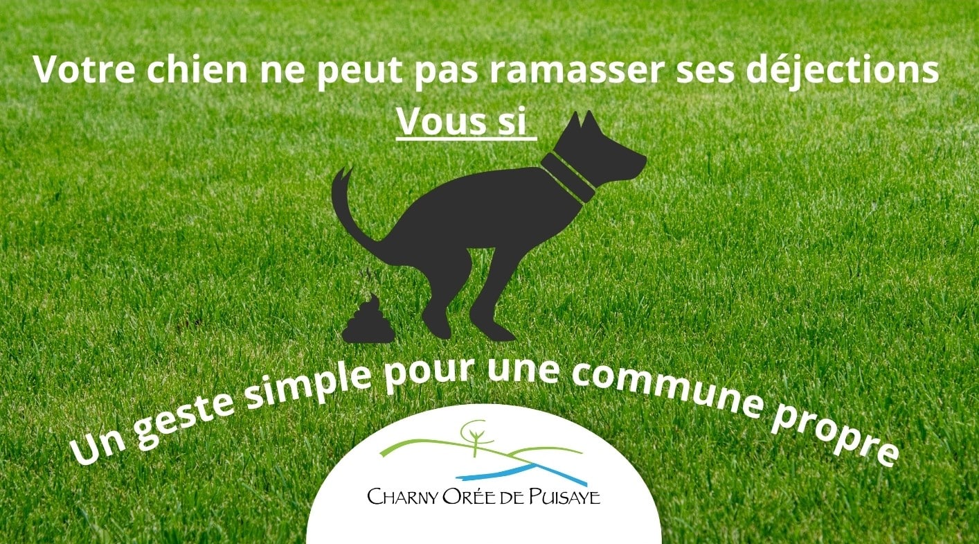 Ajouter un sous-titre - 3