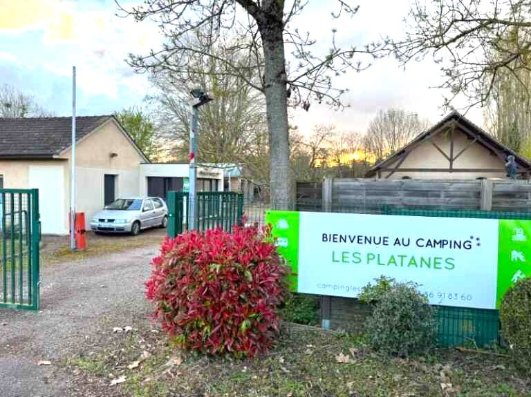 ⛺ Ouverture du camping « Les Platanes »🌿